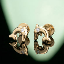 Silver Dolphin Stud Earrings