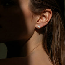 Silver Dolphin Stud Earrings
